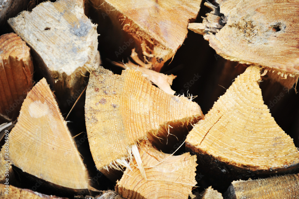 stack of fresh firewood stack of fresh firewood