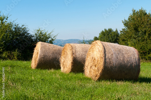 Obraz na plátně meules de foin