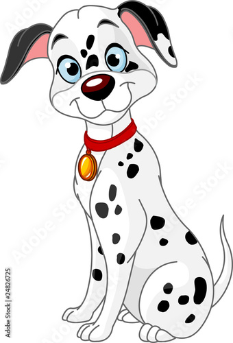 Cute dalmatic dog