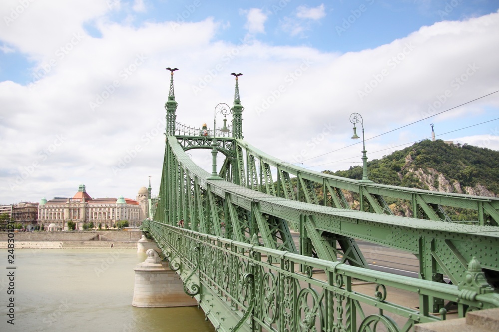 Fototapeta premium pont de la liberté à budapest
