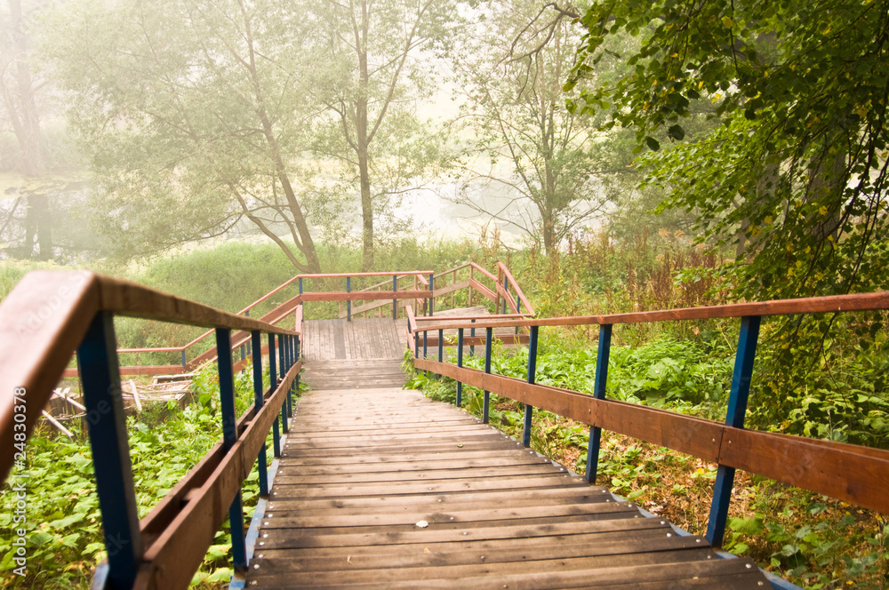 Obraz premium Ladder in park
