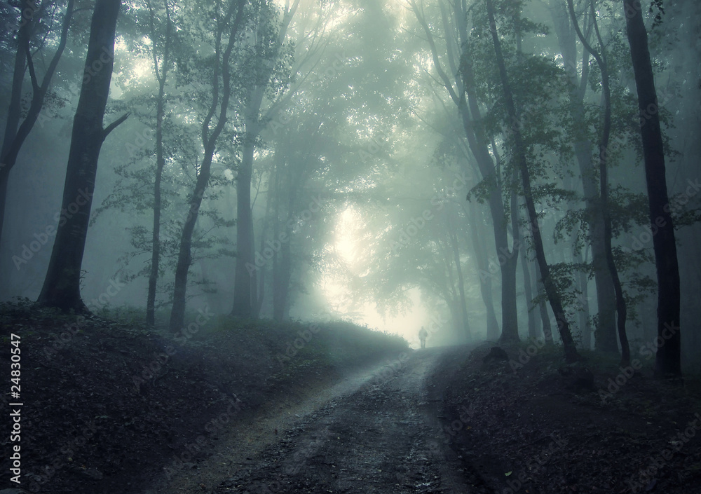 man walking in a green forest with fog