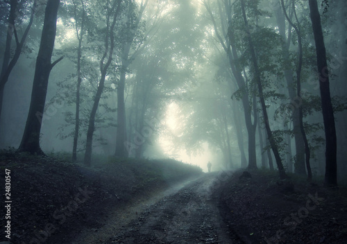 man walking in a green forest with fog #24830547