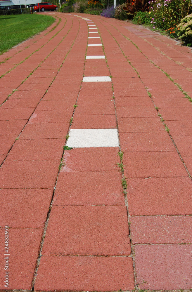 Dutch Bike Path