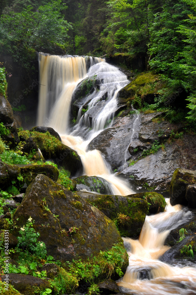 Fototapeta premium Wasserfall Triberg