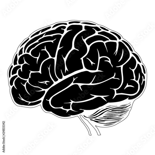 black and white human brain