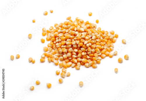 maize photo