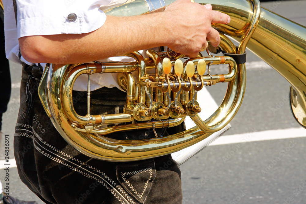 Fototapeta premium blasmusik #17