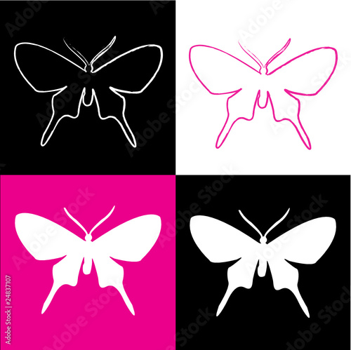 butterfly vector