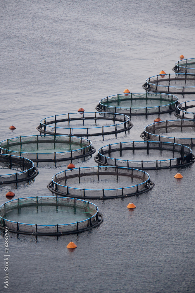 Obraz premium Aquaculture