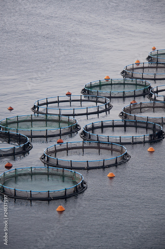 Aquaculture