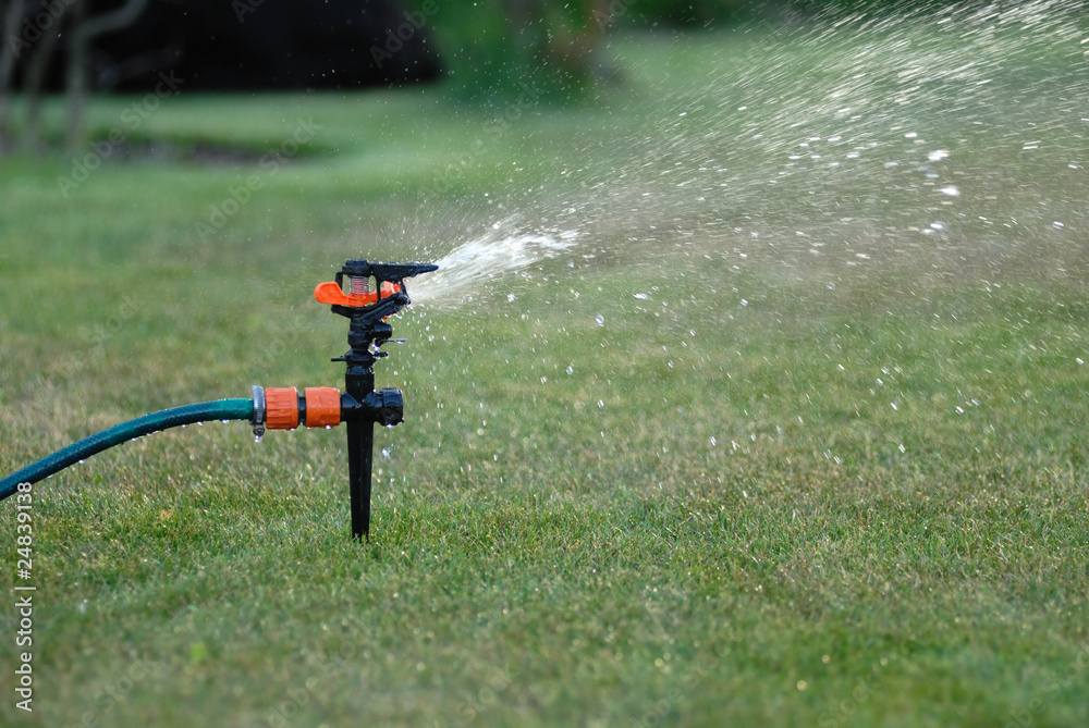 Naklejka premium Watering the garden