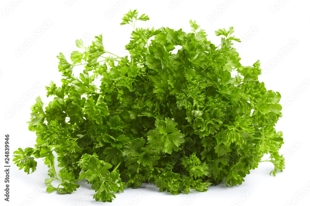 Fresh green parsley Fresh green parsley