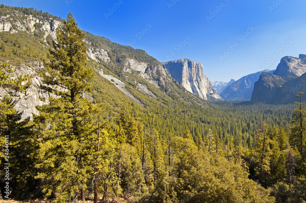 Fototapeta premium Valley through Yosemite National Park