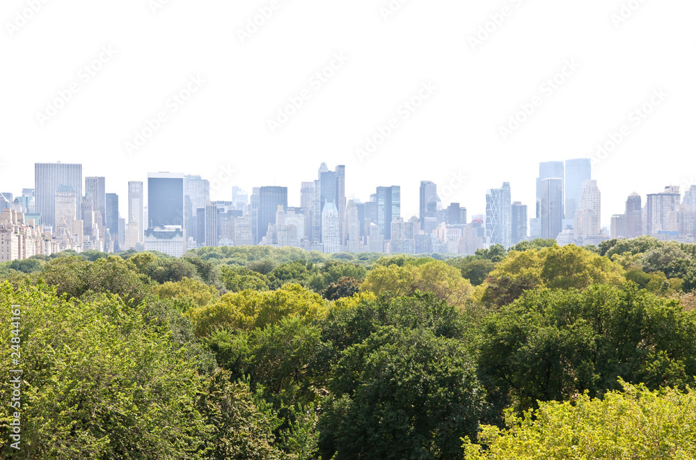 Obraz premium Manhattan skyline and the Central Park
