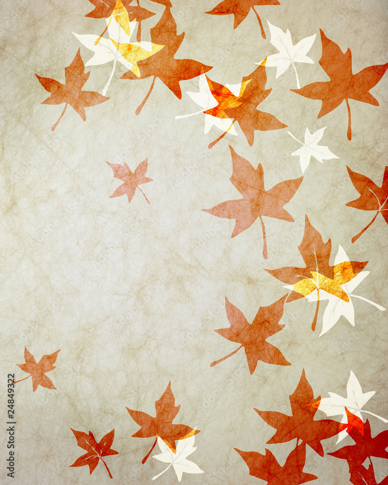 紅葉 紅葉
