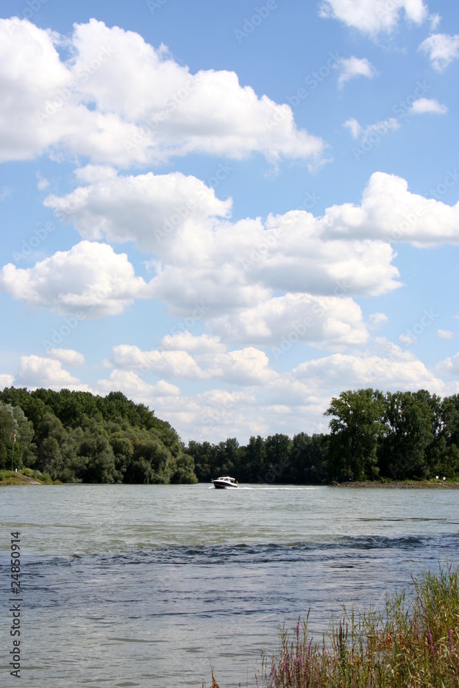 Oberrhein im Sommer