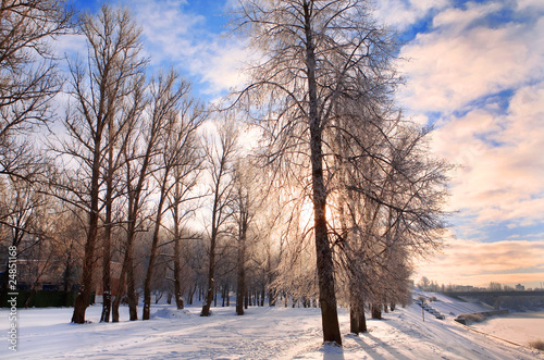 Solar winter landscape