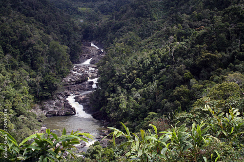 Regenwald Ranomafana