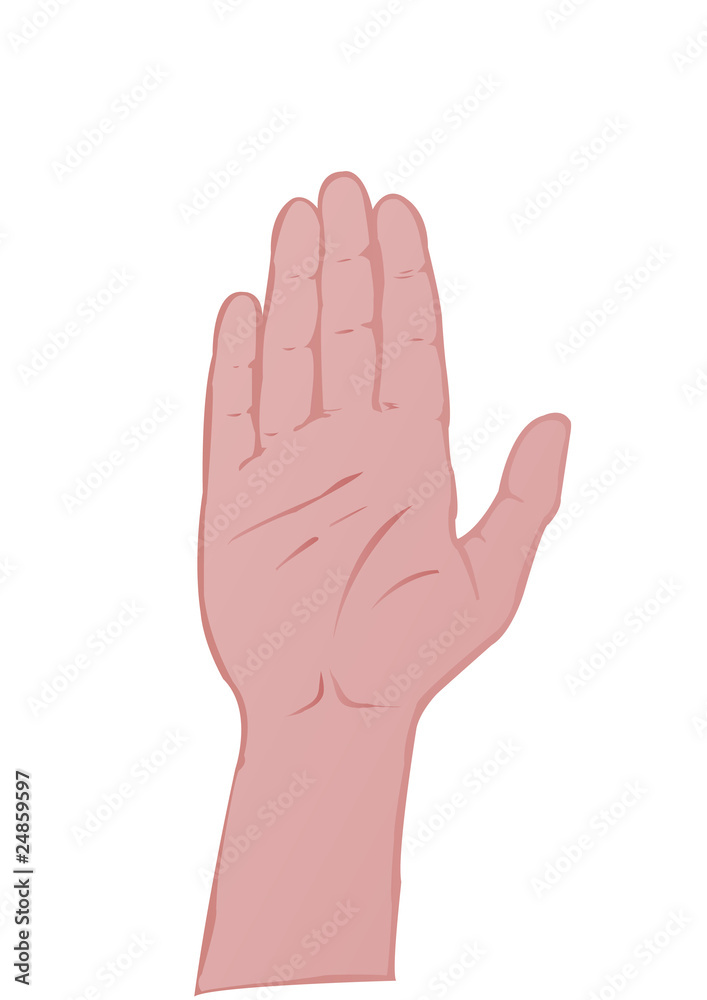 Hand of the person isolated Hand of the person isolated