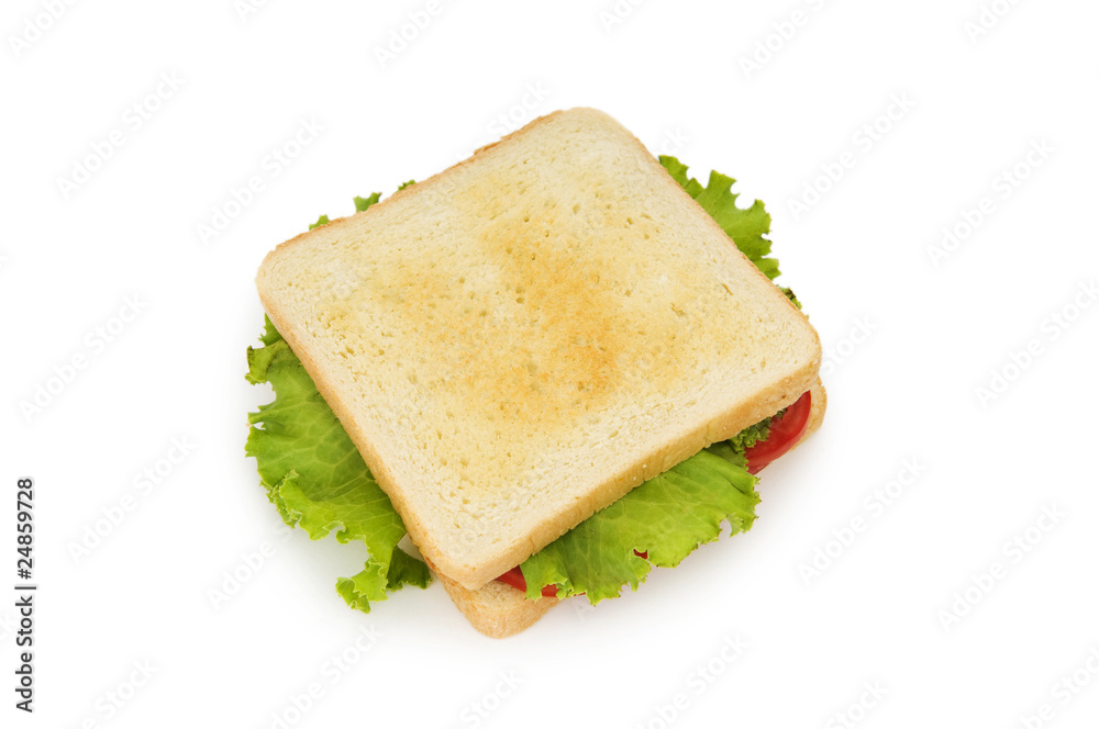 Tasty sandwich isolated on the white background