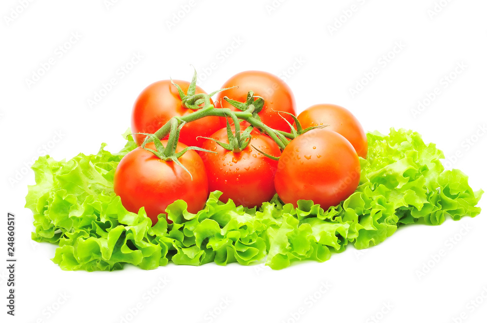 branch of tomatoes over fresh green salad isolated branch of tomatoes over fresh green salad isolated