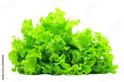 bunch of green salad isolated over white