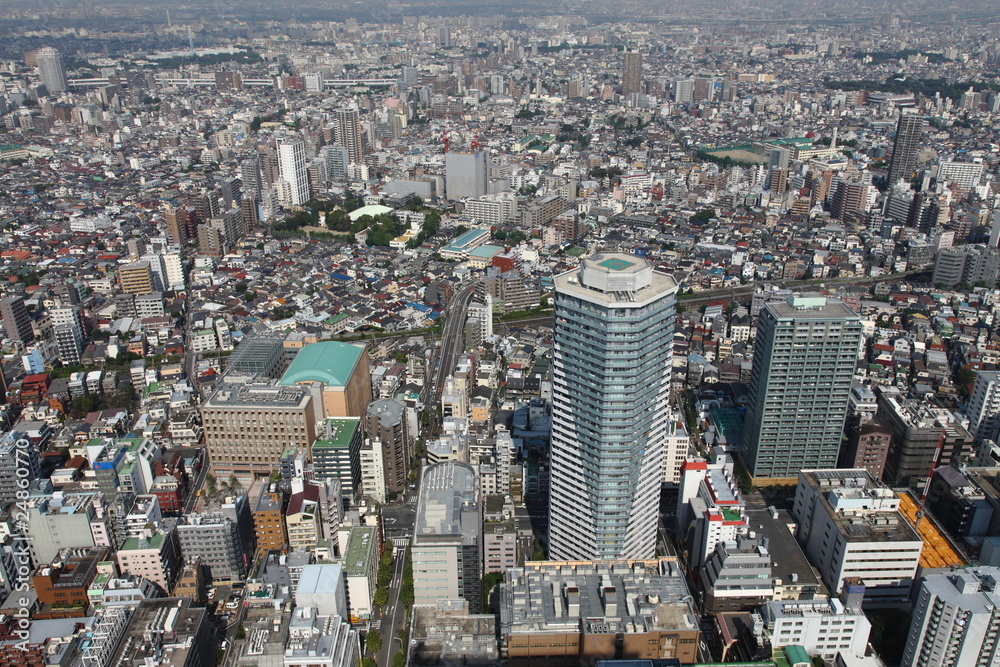 Obraz premium Tokyo bird's eye view