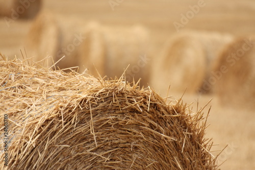 Obraz na plátně Round bale