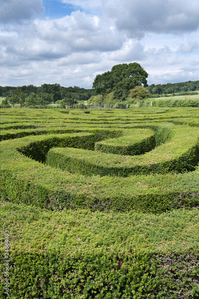 Maze made from a hedge