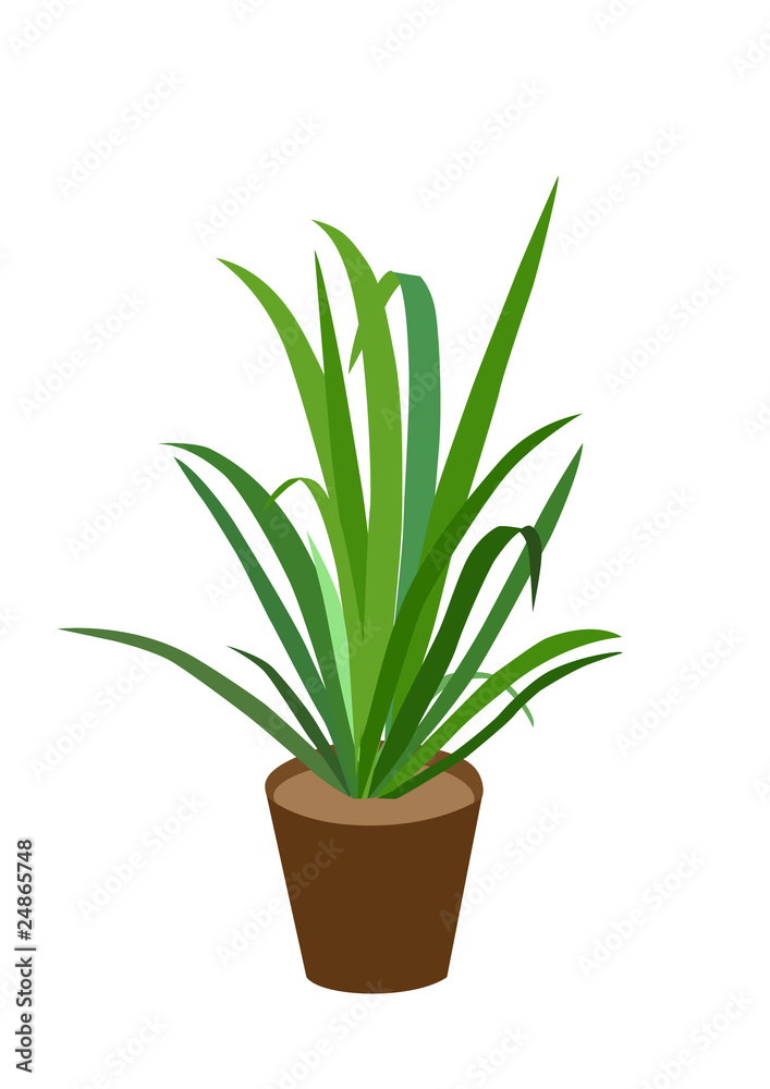 flowerpot