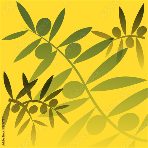 Branches d'oliviers
