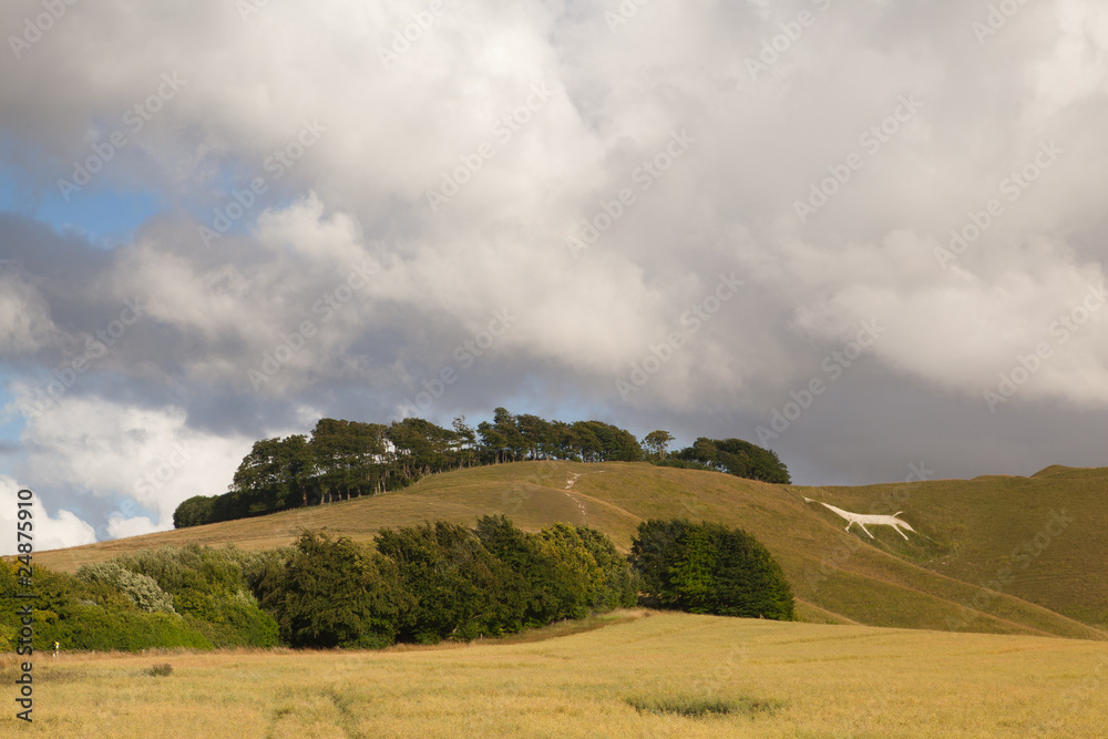 White Horse near Avebury in Great Britain White Horse near Avebury in Great Britain