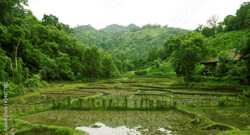 Rice terraces in rain season