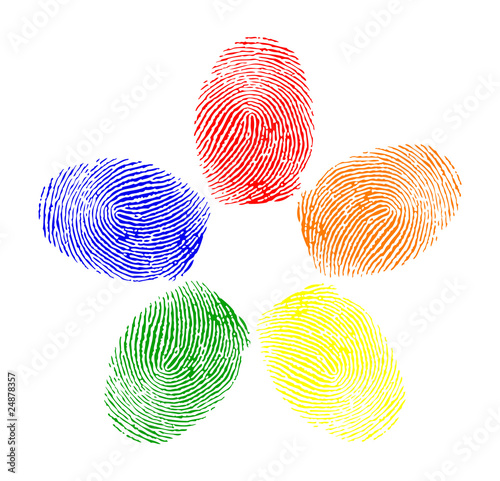 Vector of colored fingerprints