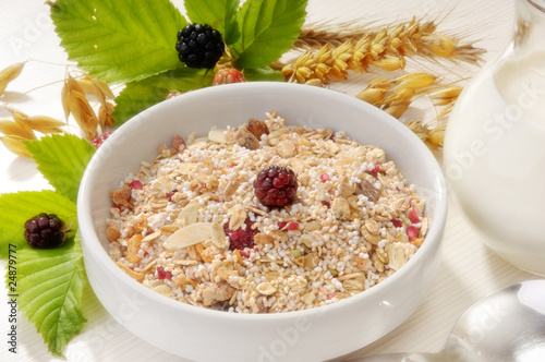 Obraz na płótnie Amaranthmüsli mit Beeren