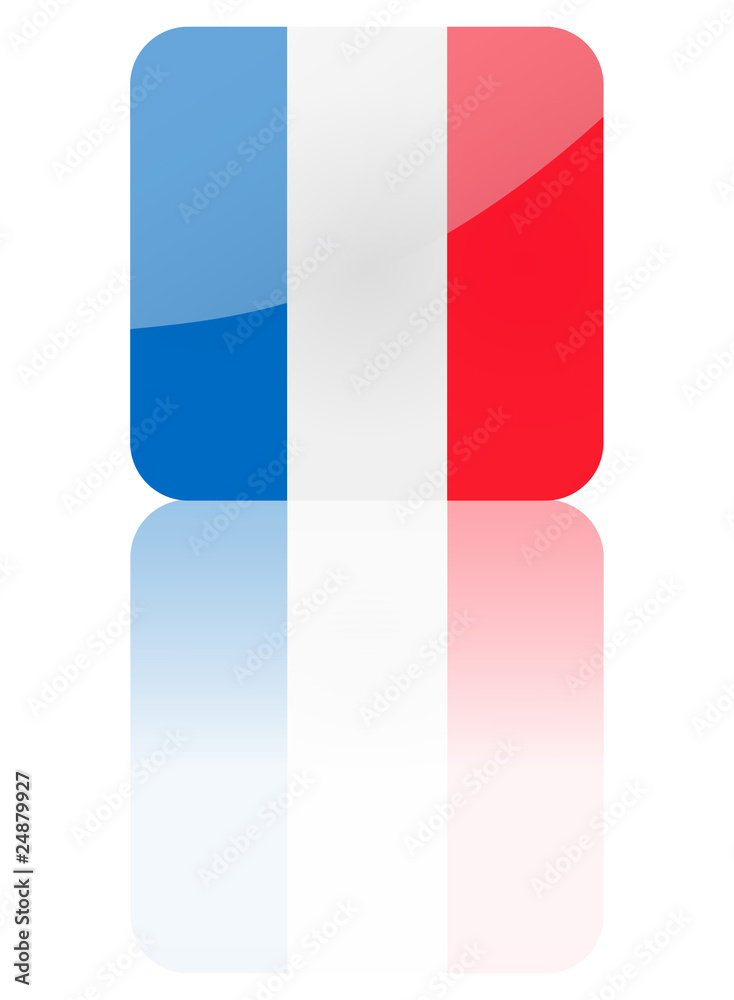 France flag vector