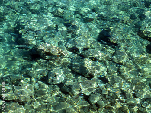 Sea bed at Tremiti Island (Italy)