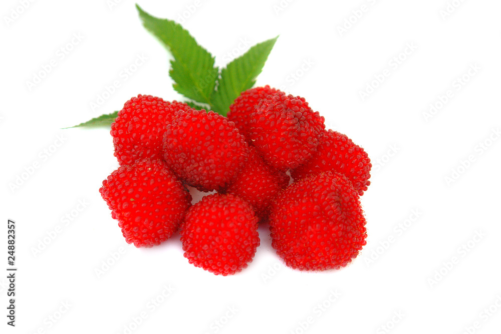 Raspberry Raspberry