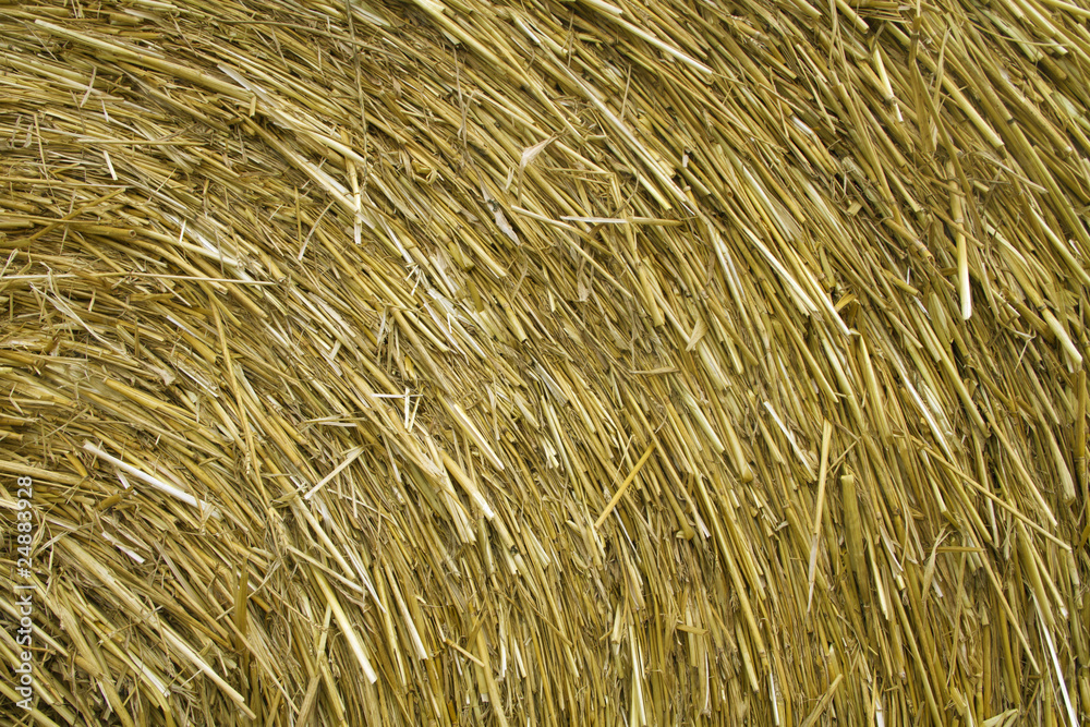 Fototapeta premium Strohballen