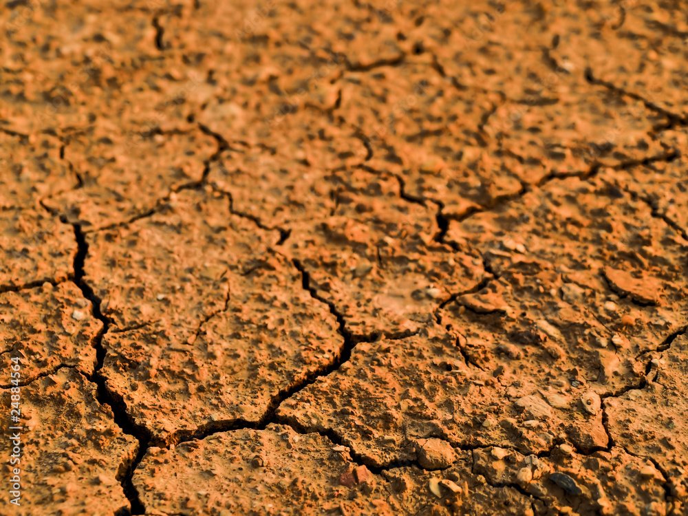 Fototapeta premium Cracked ground