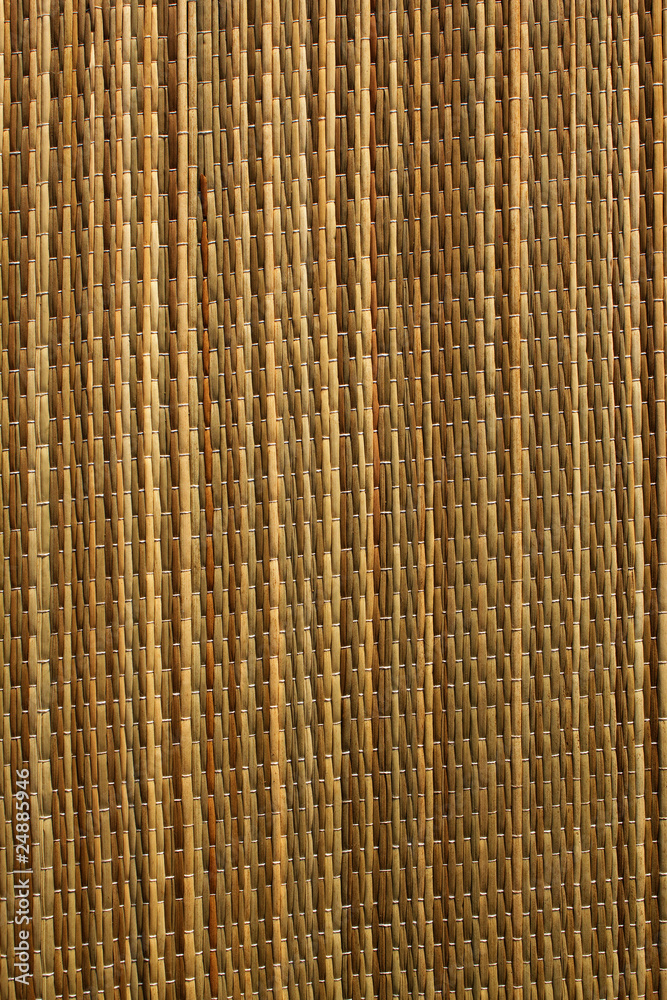 Rug  straw  stalk