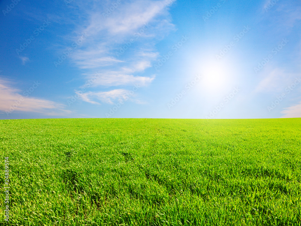 Green hill under blue cloudy sky whit sun