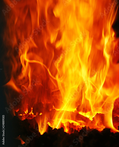 Das Feuer - The Fire © DOC RABE Media