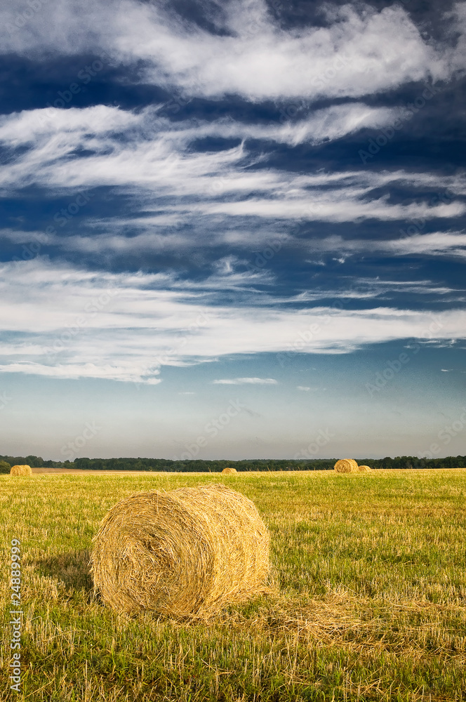 Field with bales against tender clouds.