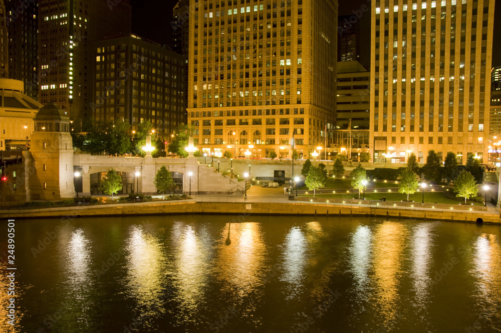 Obraz premium Chicago Night