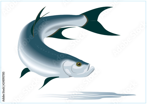 Raubfisch