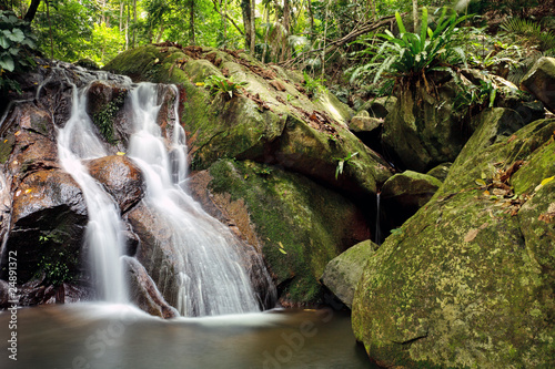 waterfall in rainforest