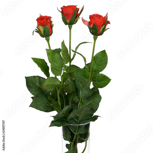 Red roses