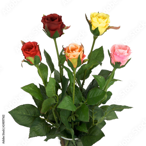 Roses